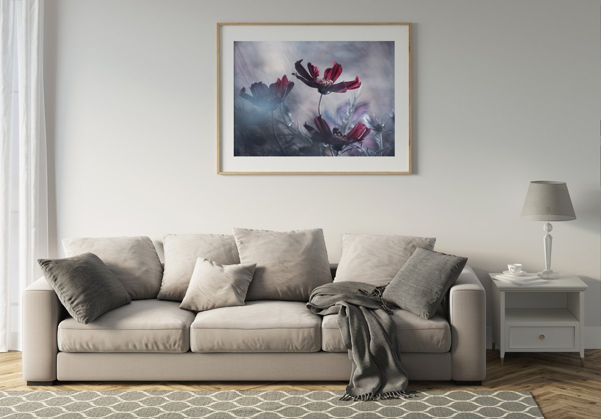 careofposters's tweet photo. Poster av bildskaparen Fabien Bravin med namnet "Cosmos Story Poster".

Handla den här: https://t.co/XHDDm63LLJ 

#blommor #fotokonst #bildkonst #inredning # #inredningsinspo #inredningstips #poster #affisch #tavla #heminredning #dekorationer #fotografi #design #konstfoto https://t.co/XcRkgeKB7G