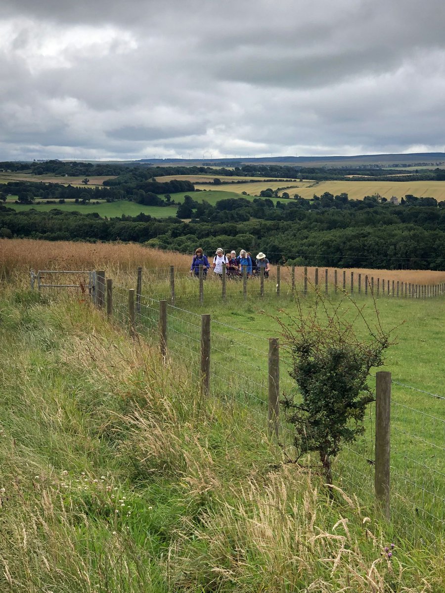 EildonRamblers's tweet image. Saturday July 22nd #VogrieCircular via #D'Arcy &amp;amp; #Edgehead  7.5ms/12km, Walk time: 4 hrs. We met at Focus Centre, #Gala, for car share to #Vogrie. 
@RamblerScot @RamblersGB @WalkMagazine