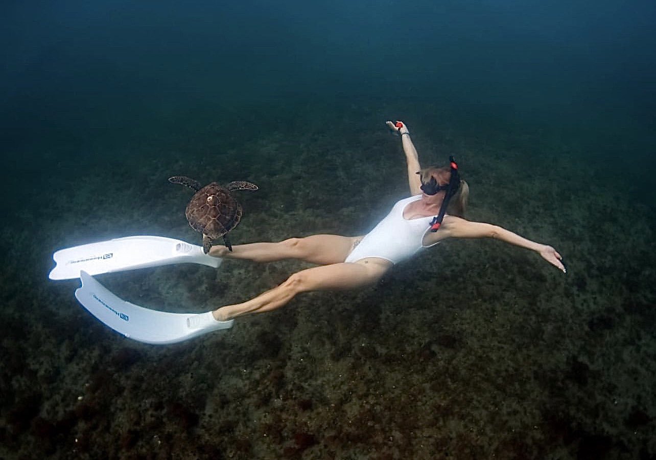 kari-nautique-on-twitter-have-you-hugged-a-sea-turtle-today-no-well