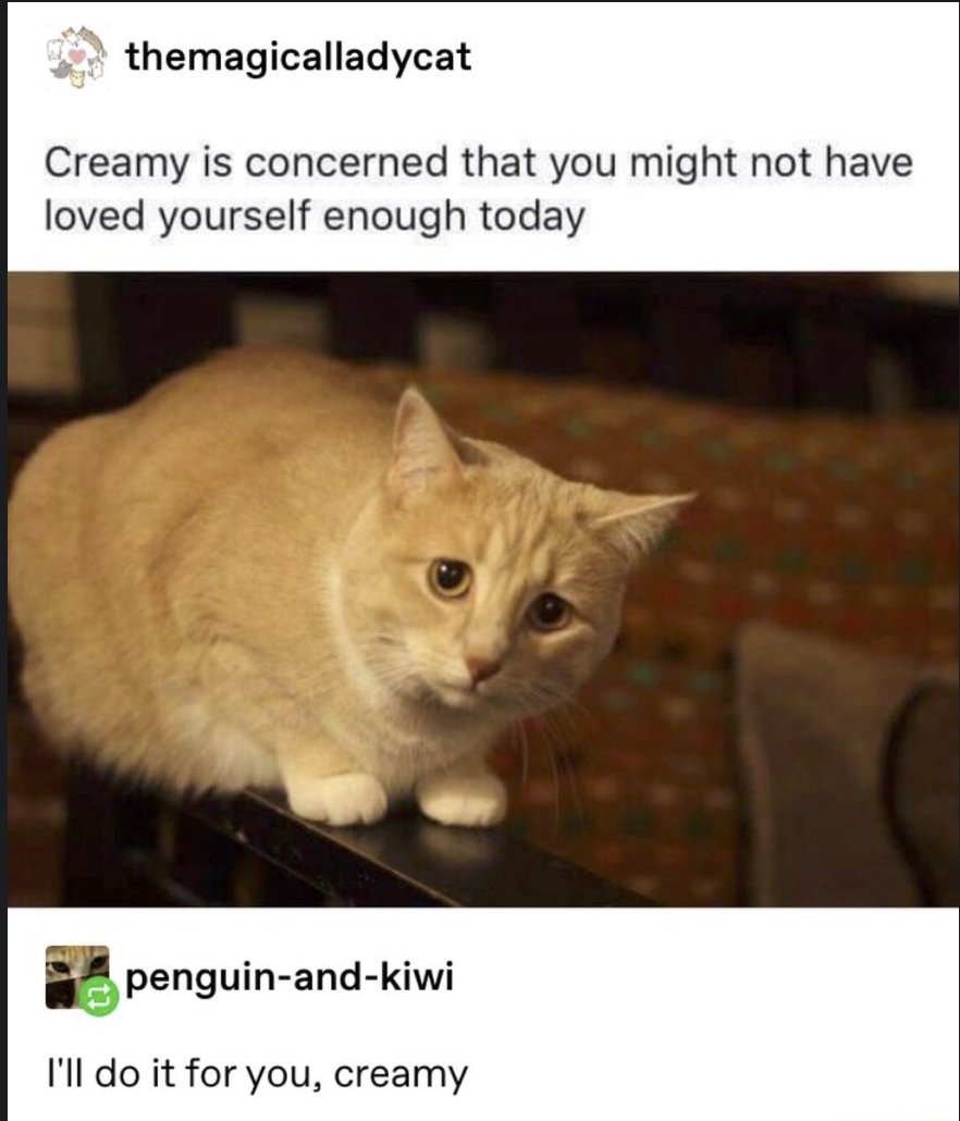 Respectful Memes (@respectfulmemes) on Twitter photo 