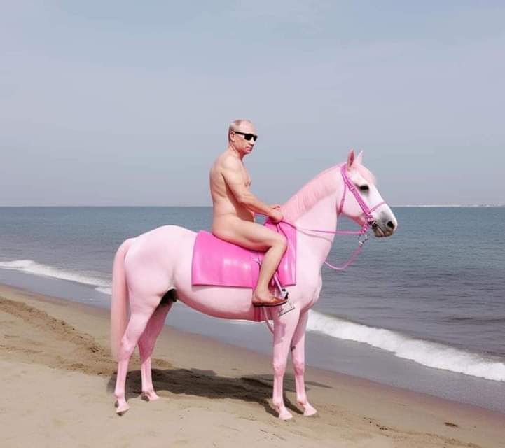 CChristineFair's tweet image. 