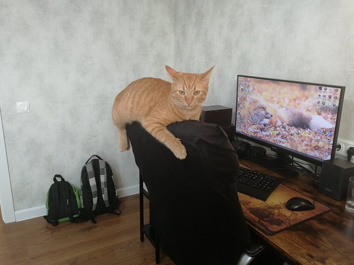 Nastya_F20's tweet photo. https://t.co/IZKxgIfgMF