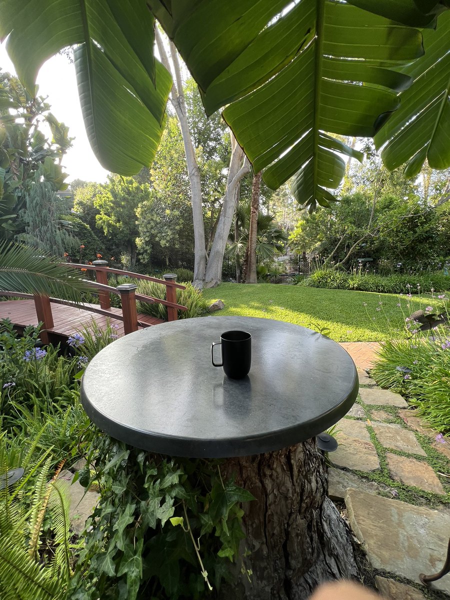 gm, wer i like to Xscape and sip my ☕️. crush the week 🤙🏽