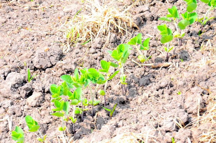 Waseca County News tweet media