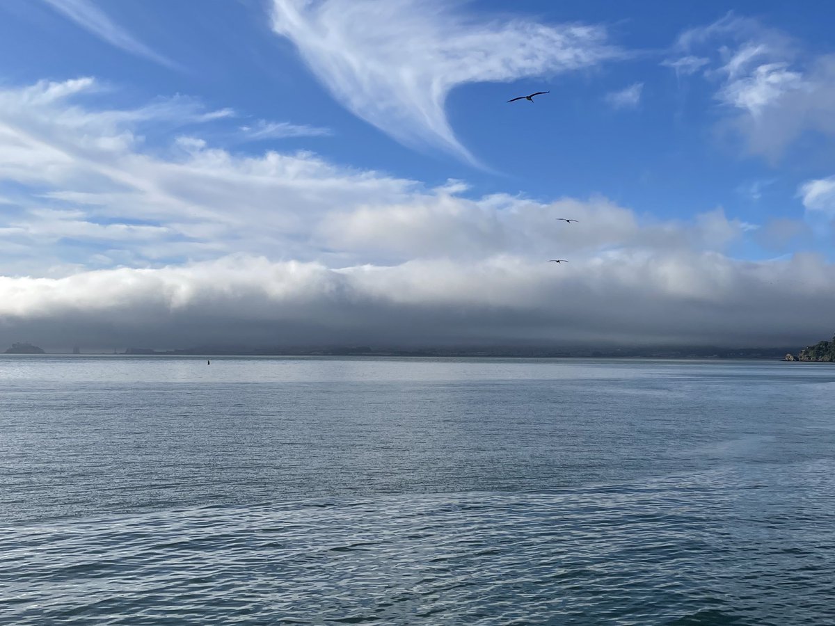 San Francisco totally blanketed in dense fog this morning