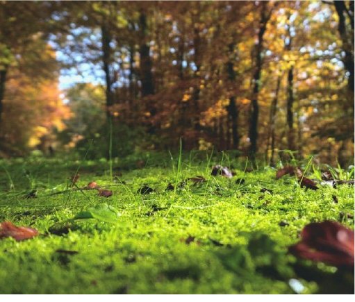 Read our latest blog all about HVO, the future renewable solution to kerosene heating oil, at: northernenergy.co.uk/.../hvo-show-y…
and find out how you can back the Future Ready Fuel campaign to support the use of renewable fuels and make it the affordable choice.