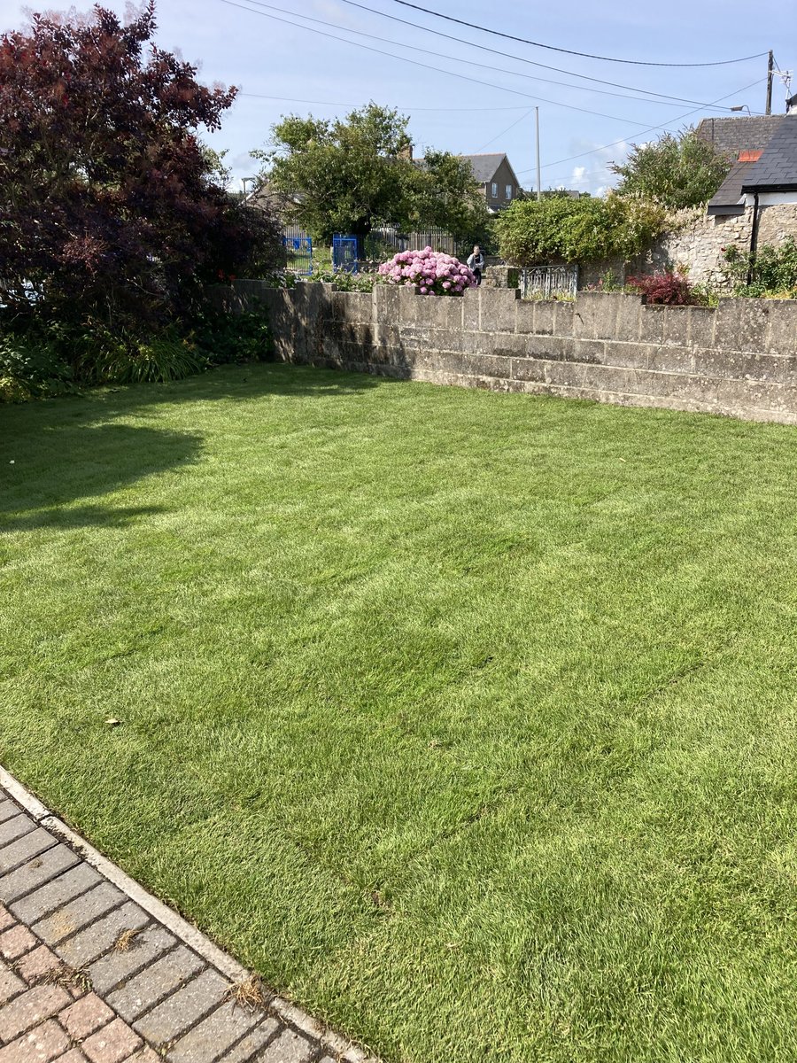 Here are some photos of a new #lawn we put down in Wick, Vale of Glamorgan recently: lawnweedexpert.co.uk/news/post/phot…