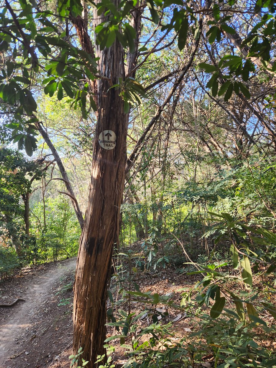 cmpena1's tweet photo. Short run through the trails this morning! Let's MAKE #Monday Great!
#morningvibes #MondayMotivation #runner #RAGNARTraining https://t.co/k4ajrWZ0w0