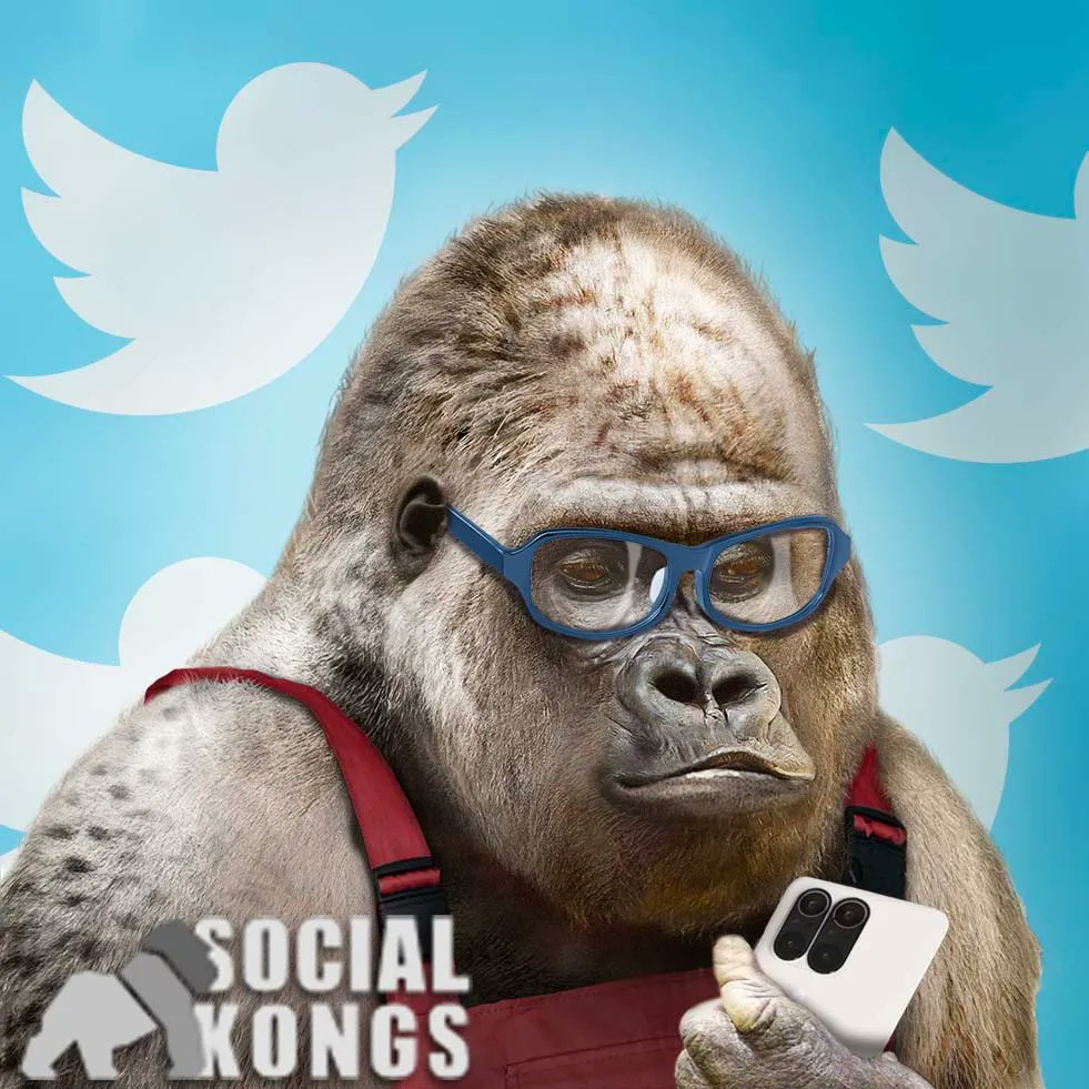SocialKongs's tweet photo. 💡🦍 #NFTCommunity, we need your wisdom! What's the ONE piece of advice you'd give to a Social Kong starting on its digital journey? Best advice wins our respect... and a free Social Kong! Let's hear you in the comments below! 🔥 #SocialKongs #NFTAdvice https://t.co/PIEnsk1j05