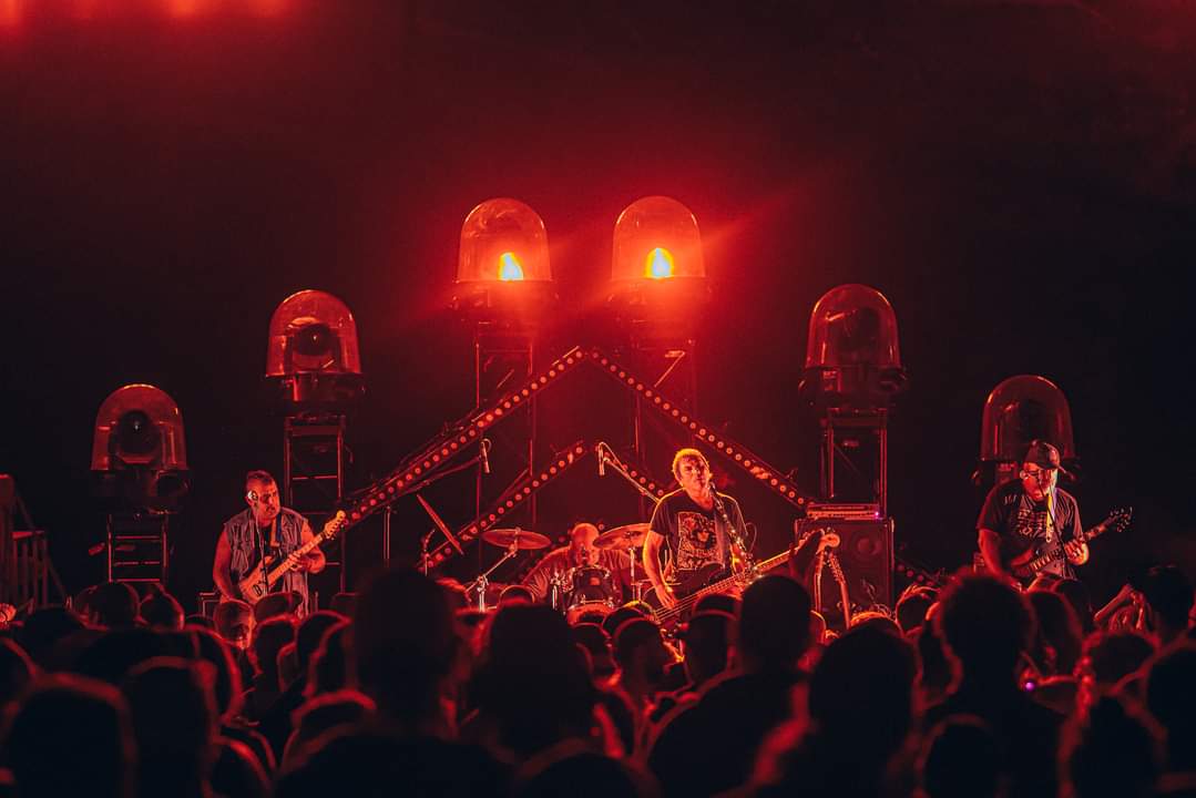 Groovy Aardvark tweet media