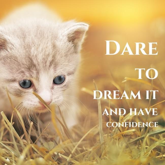 SaveProDesigns's tweet photo. Happy Monday https://t.co/6WsRoTQZ5S
