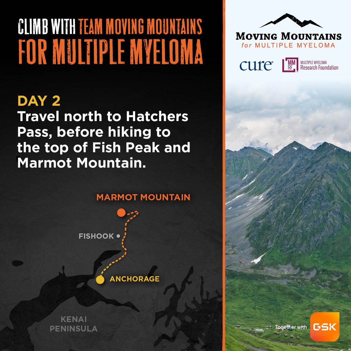 Moving Mountains for Multiple Myeloma tweet media