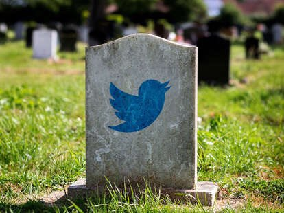 I hate u <a href="/elonmusk/">Elon Musk</a> 😡

Restore old Twitter logo. 

#RIPTwitter #TwitterX #ElonMusk