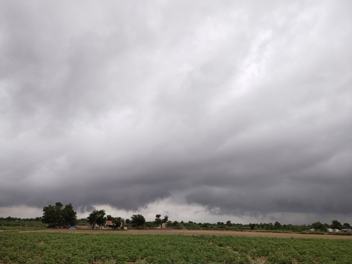 WeatherRadar_IN's tweet photo. 👉 Here are some pictures taken by Mahadev Ahir after a rainy day in Kutch, Gujarat
Send your Weather Photos! https://t.co/xVpYtmrv2g
#Rain #Farmweather #Monsoon #Rainalert #Photography https://t.co/p2FKSVA1sU