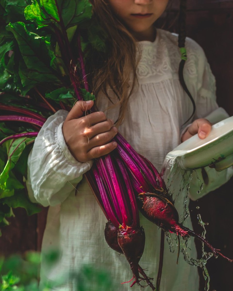 ecofarmfinder's tweet photo. 🌿 Did you know? Ancient Romans were 1st to cultivate beetroot as food, while  ancient Greeks used beets primarily as medicine. And since #foodismedicine lets not forget to add- beets provide antioxidants, support healthy gut #microbiome, enhance cognition &amp; reduce inflammation! https://t.co/ERLDRxDxeV