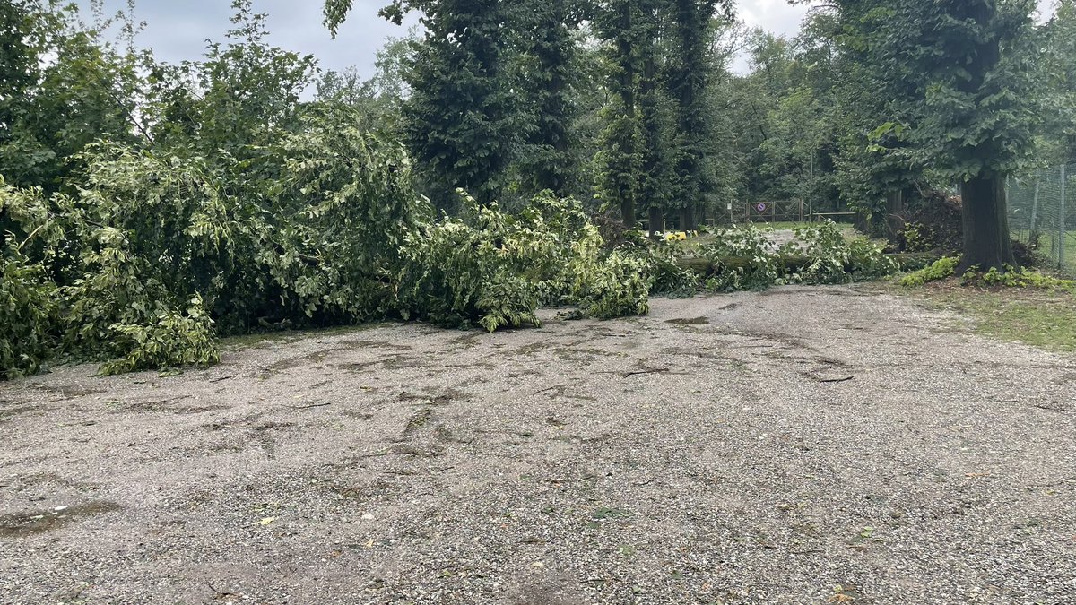 its_me_panos's tweet image. Monza Park today, during the 3pm roll call. #springsteen #monza #springsteen2023 #estreetfans 
@jakeclemons @StevieVanZandt @SpringNuts_