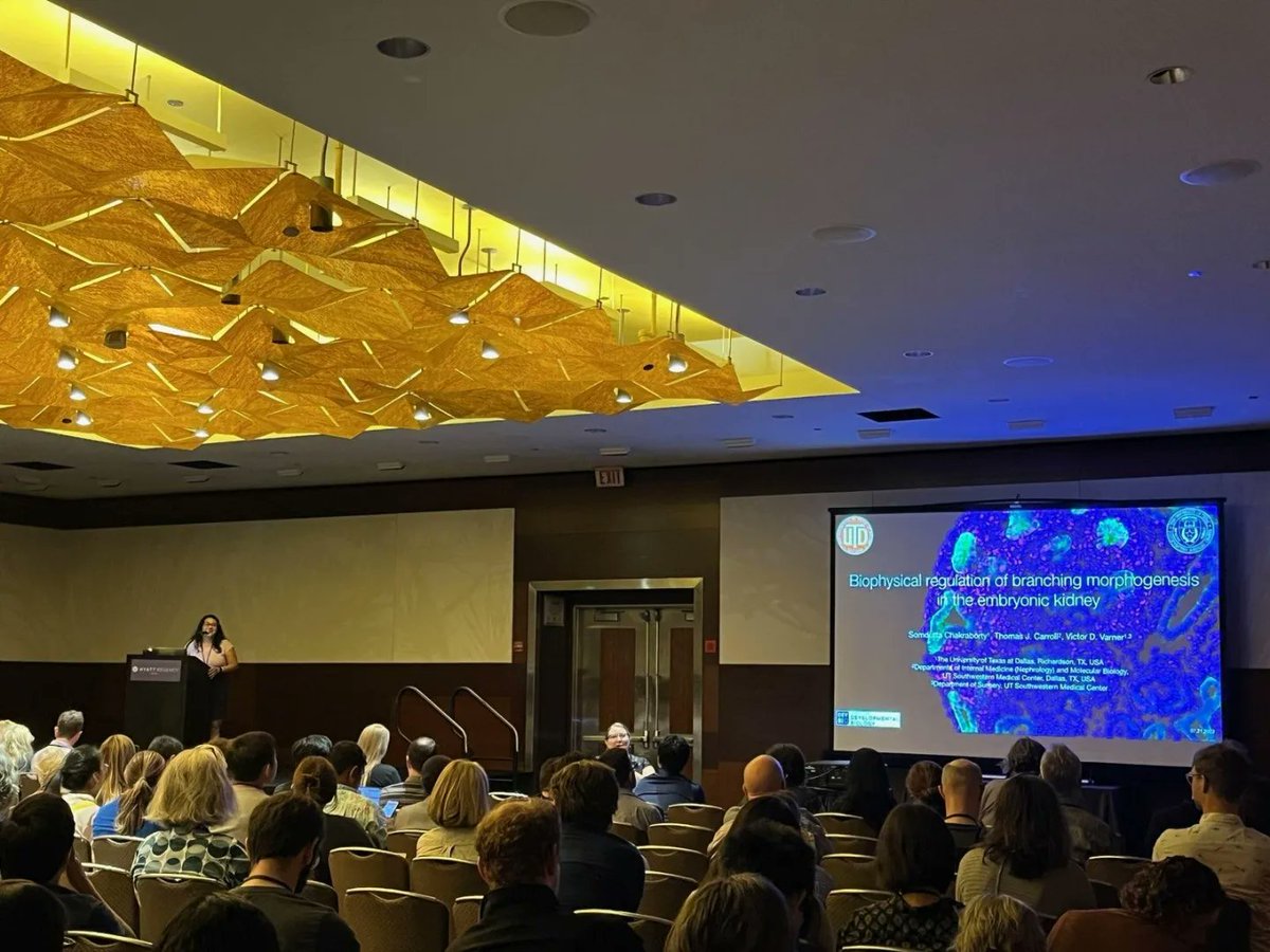 LabVarner's tweet image. A well deserved, packed room of audience for @Somdutta_C &apos;s talk at @SocDevBio #sdb2023 ... Extremely proud of you and many congratulations 👏🎉

@bme_utd @UTDResearch @UTSWGradSchool @UTDOGE #biomechanics #research #womeninstem #kidneyresearch
