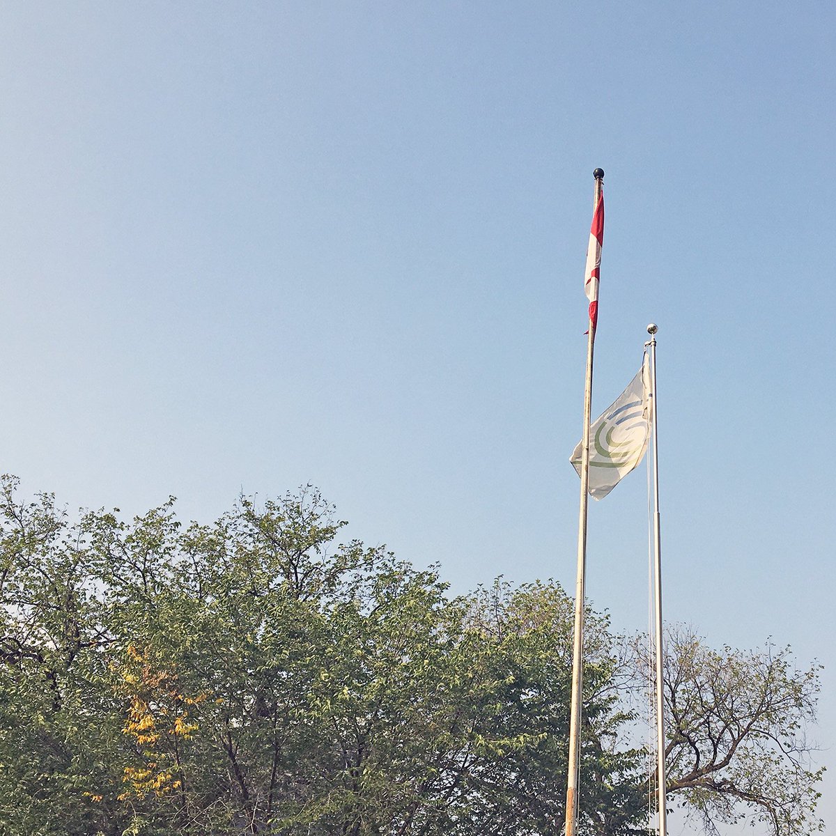 Transplant Manitoba tweet media