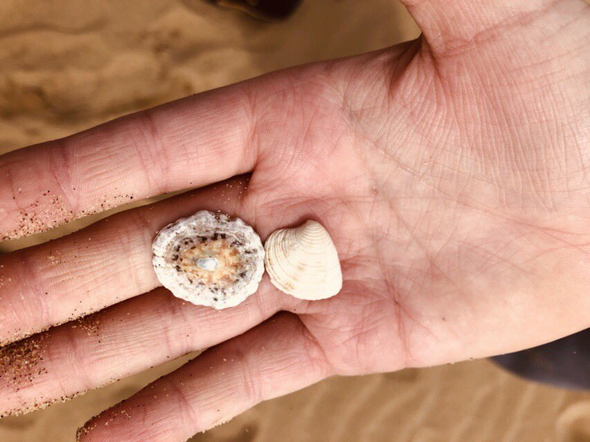 STWA childrens creche tweet media