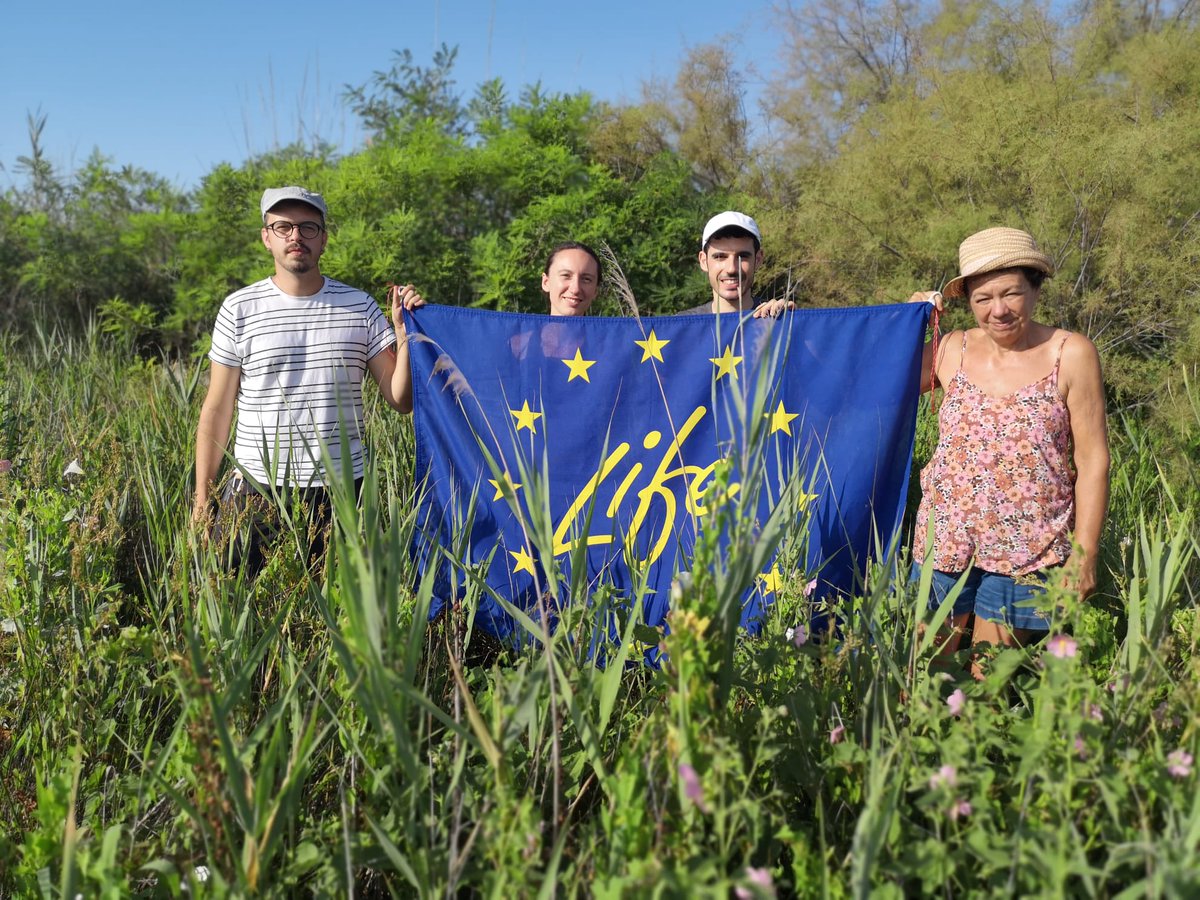 LIFE SEEDFORCE tweet media