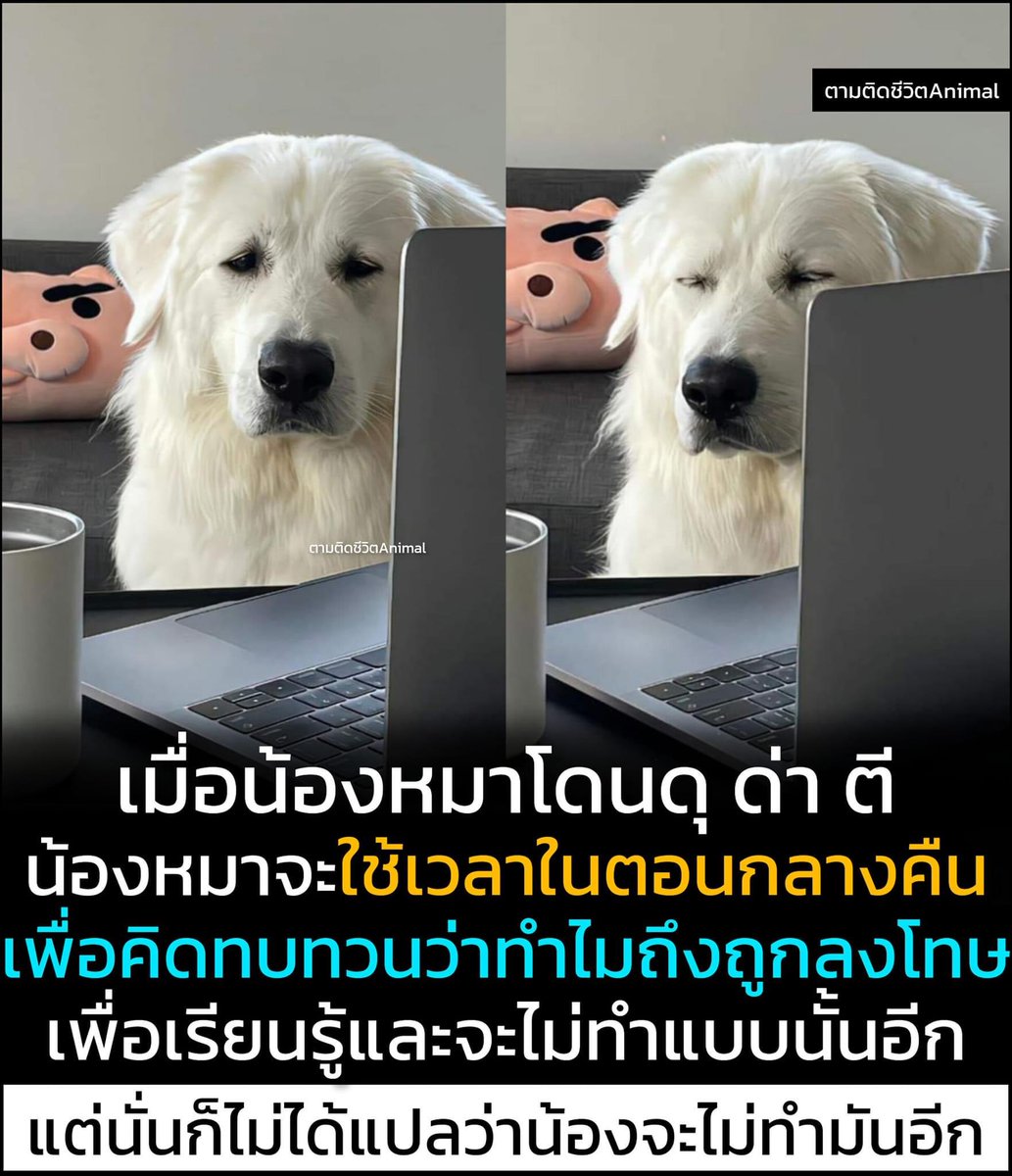 ไม่เชื่อครับ โม้🤗 tweet media
