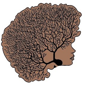 Heather Snell, PhD tweet media