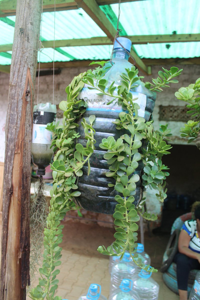 Holistic Actions for Development and Empowerment tweet media