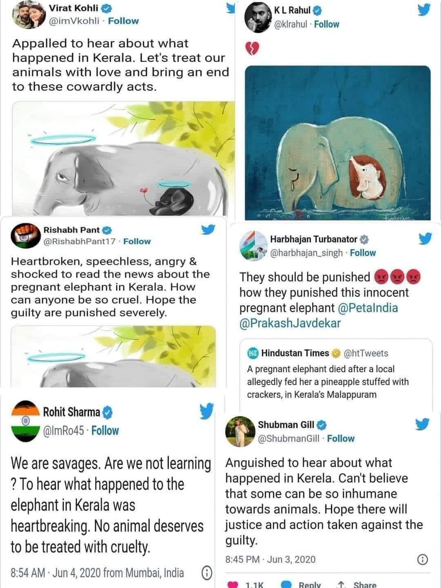 sslalsalam's tweet image. Pls say something about manippur