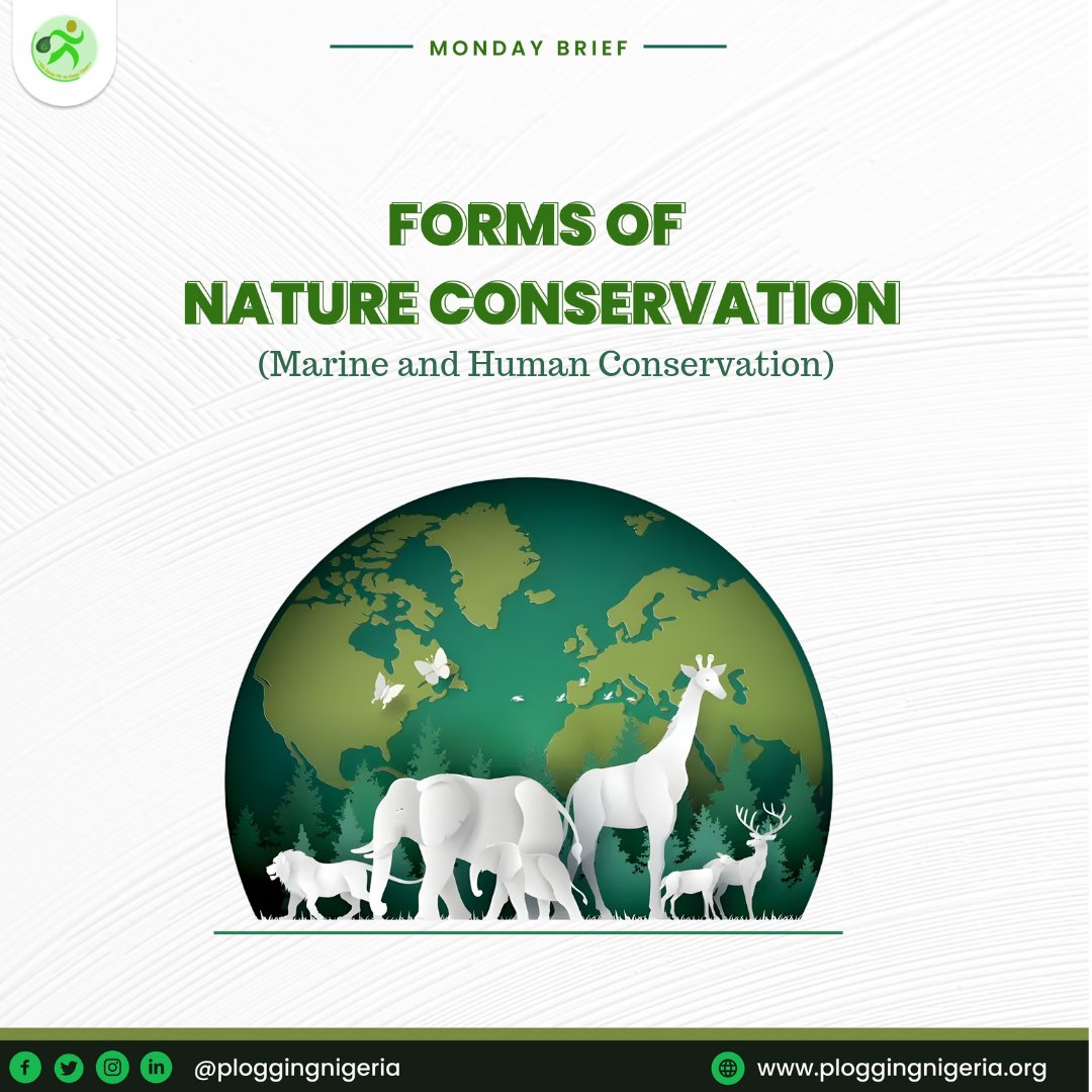 ploggingnigeria's tweet photo. #MondayBrief

We're are still on about Nature and it's conservation.

This week, allow us to take you in a little deeper on the topic. But with a focus on two forms: Marine and Human conservation.

Click 👇🏾 to learn more.
https://t.co/503me2E8pL

#EducativeBrief
#PloggingNigeria https://t.co/xoWQMaXqtr