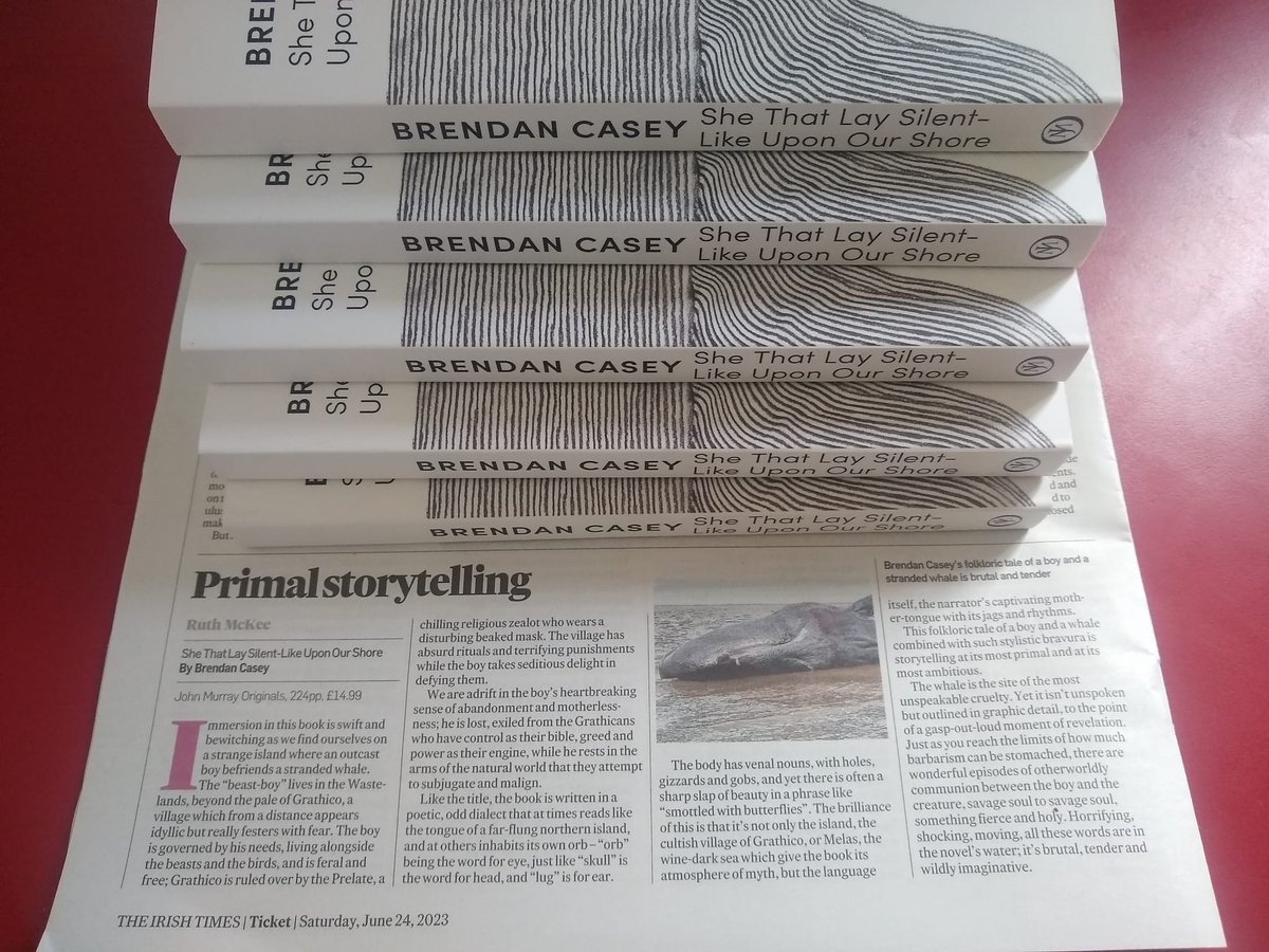 Brendankcwriter's tweet photo. My debut novel, She That Lay, was published just over a month ago. Very grateful to have had two great reviews from @BirdyBooky in the @TheSundayIndo and @RuthMcKee in @IrishTimes. Big thanks to Anne Enright @sarahgbooks @OisinFagan and @philipwhale for their endorsements. https://t.co/0FSZdpF3jO
