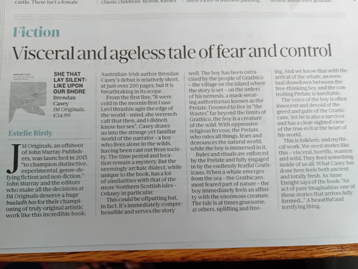 Brendankcwriter's tweet photo. My debut novel, She That Lay, was published just over a month ago. Very grateful to have had two great reviews from @BirdyBooky in the @TheSundayIndo and @RuthMcKee in @IrishTimes. Big thanks to Anne Enright @sarahgbooks @OisinFagan and @philipwhale for their endorsements. https://t.co/0FSZdpF3jO
