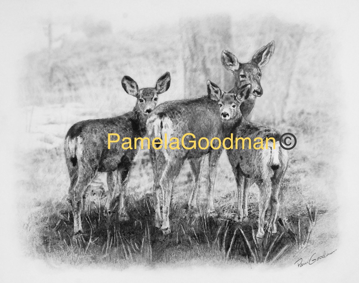 Commission.  Making art is a necessity for me.  Read my biography on my website. pamelagoodman.zenfolio.com
#gifts #horses #dogs #memorials  #petloss #petportrait #petportraitartist #petportraitsofinstagram #custompetportraits  #petportraitartists #petportraitcommissions