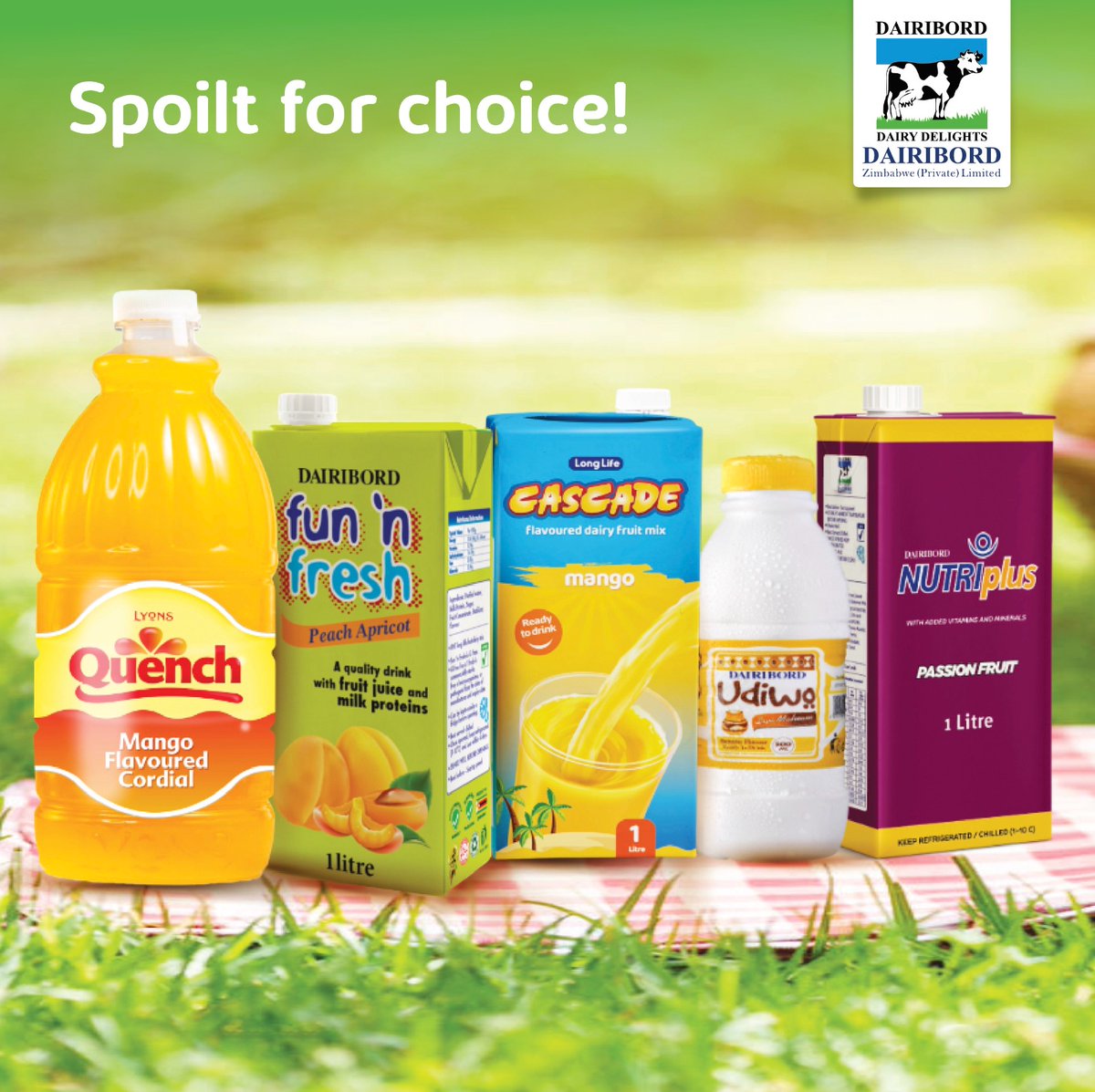 If you could drink only one drink for the rest of your life, what would it be?
1. Quench
2. Fun ‘n Fresh
3. Cascade
4. Pfuko
5. Nutriplus
Comment below and let us know.
#Dairibord