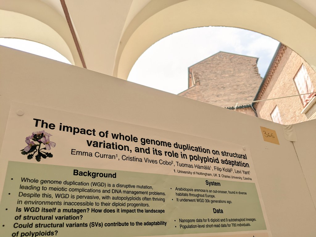 Emma Curran tweet media