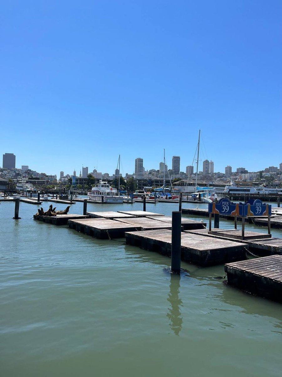 allen3717's tweet photo. #American San Francisco https://t.co/6EwvEhqbW6