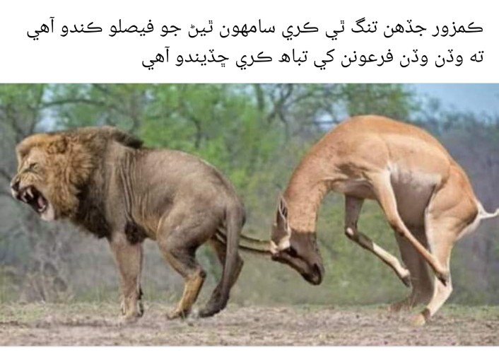 Nazir (@nazir95069643) on Twitter photo 