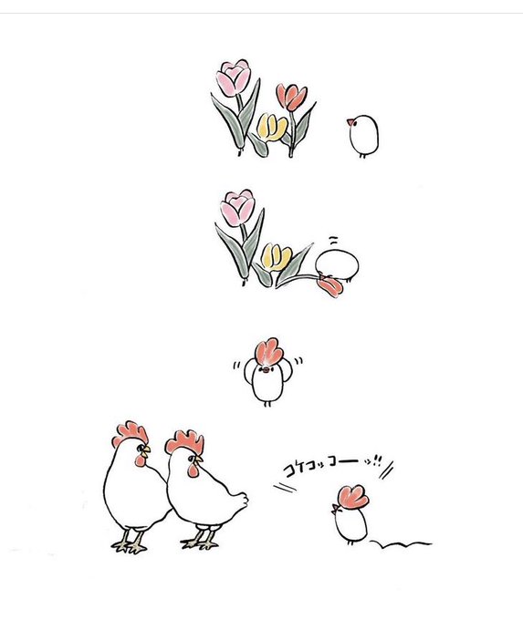 「鶏 白背景」のTwitter画像/イラスト(新着)｜4ページ目
