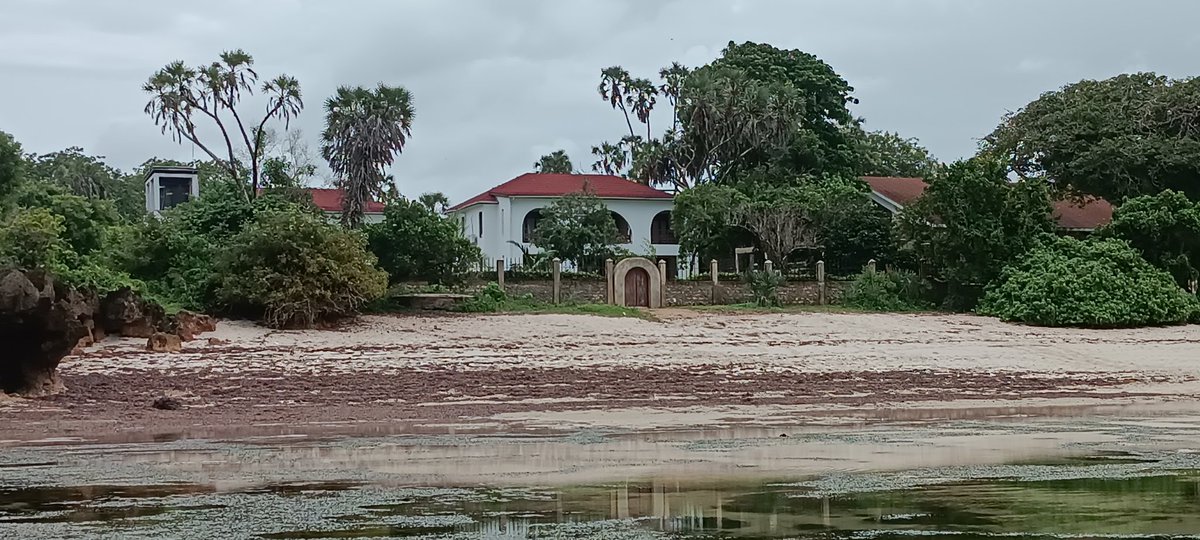 Ali Kipapuro tweet media