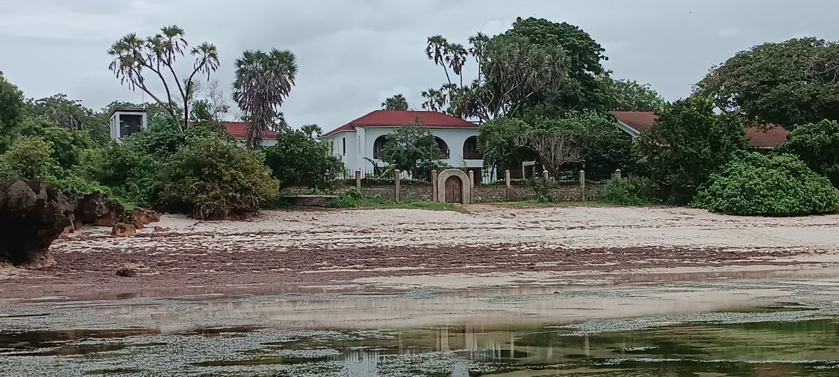 Ali Kipapuro tweet media