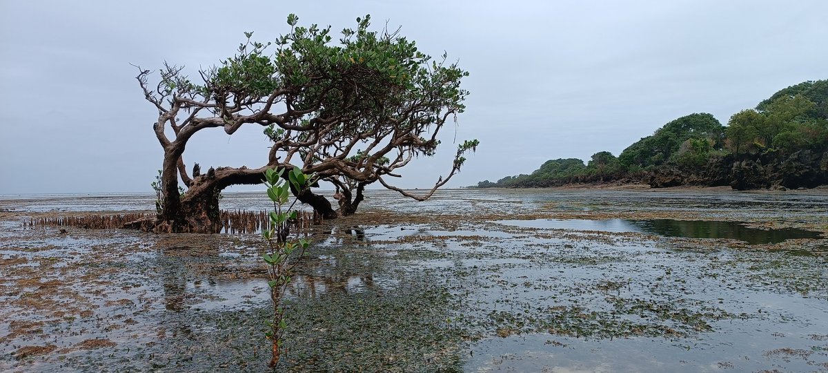 Munje Beach. A perfect seaside getaway destination. 

Shot by: Redmi Note 11 Pro

#SafariWithXiaomi