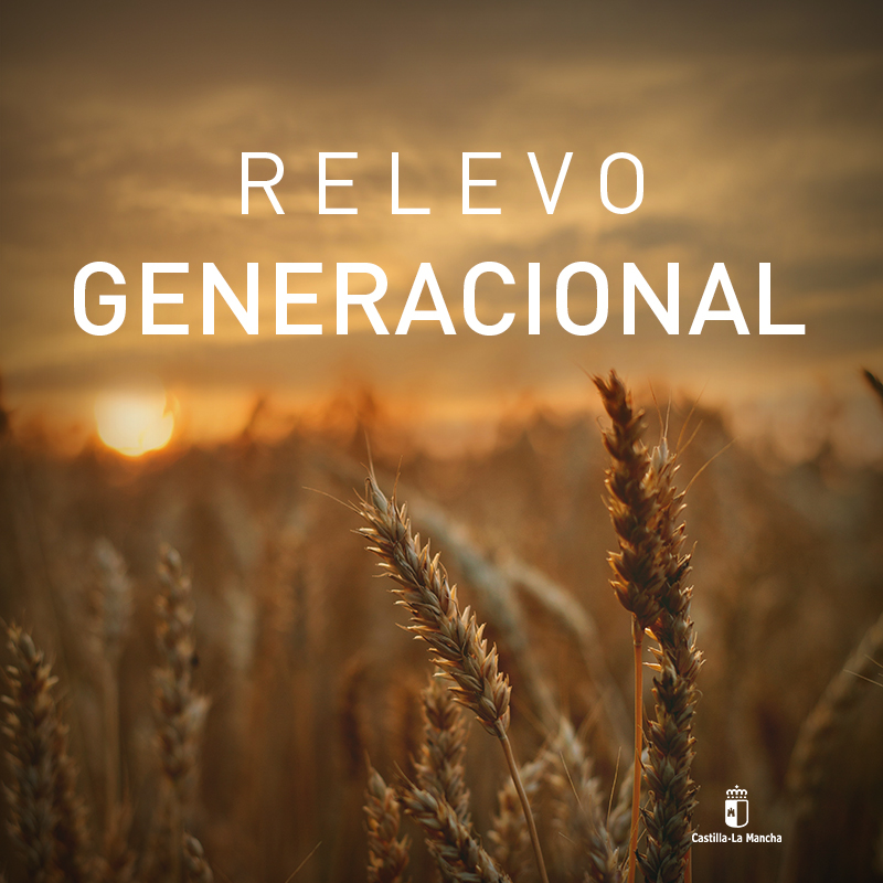 garciapage's tweet photo. El sector agroalimentario es la base de todo.
En esta legislatura incrementaremos en un 35% las ayudas destinadas al relevo generacional en el campo y la ganadería.
Para seguir impulsando el flujo de crecimiento de incorporación de jóvenes al campo experimentado estos años. https://t.co/G9ulG9jUZn