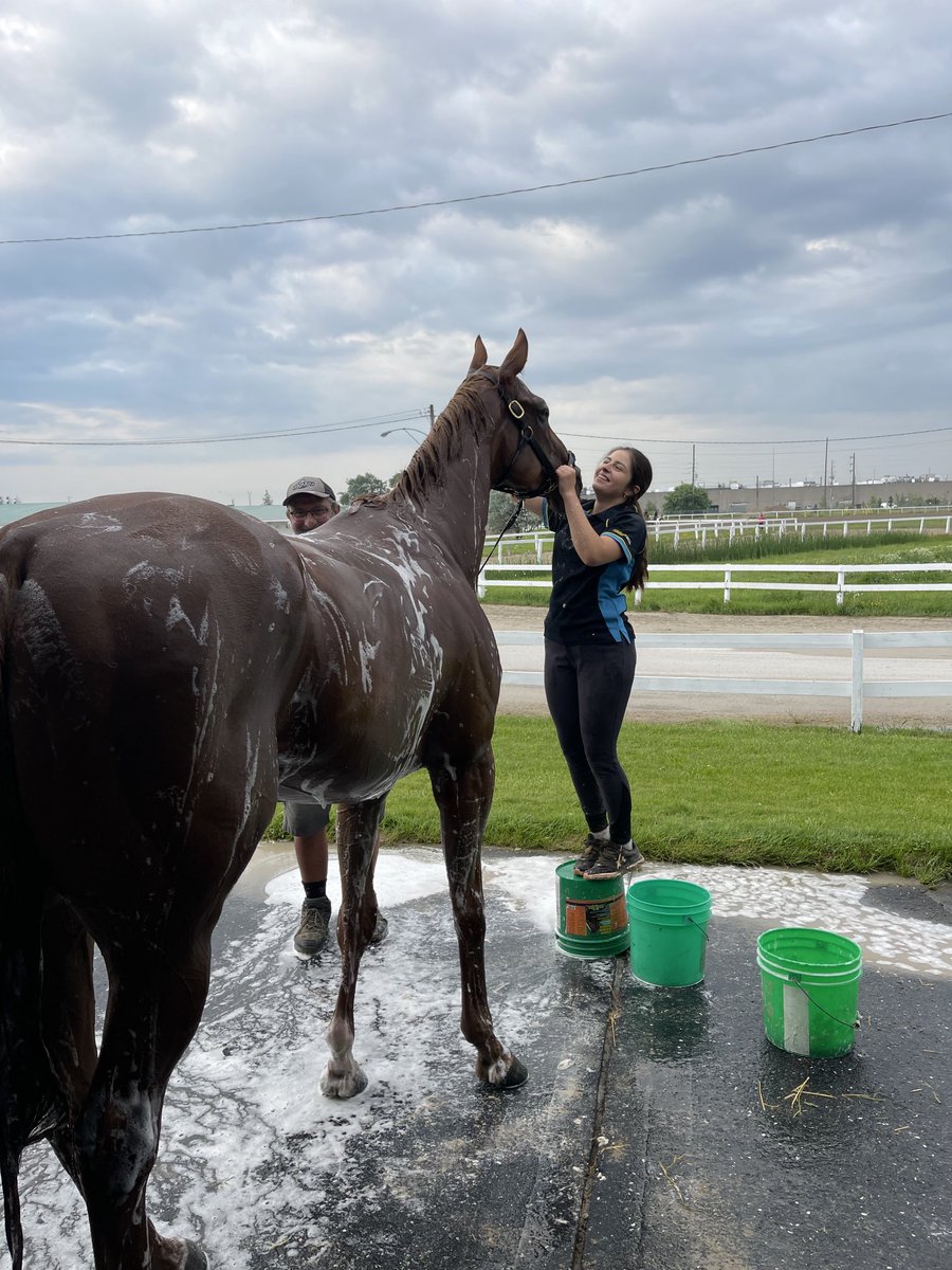 When your horse is too tall!! ⁦@WoodbineTB⁩ ⁦@ONTRacing⁩ ⁦@HBPA_ONT⁩