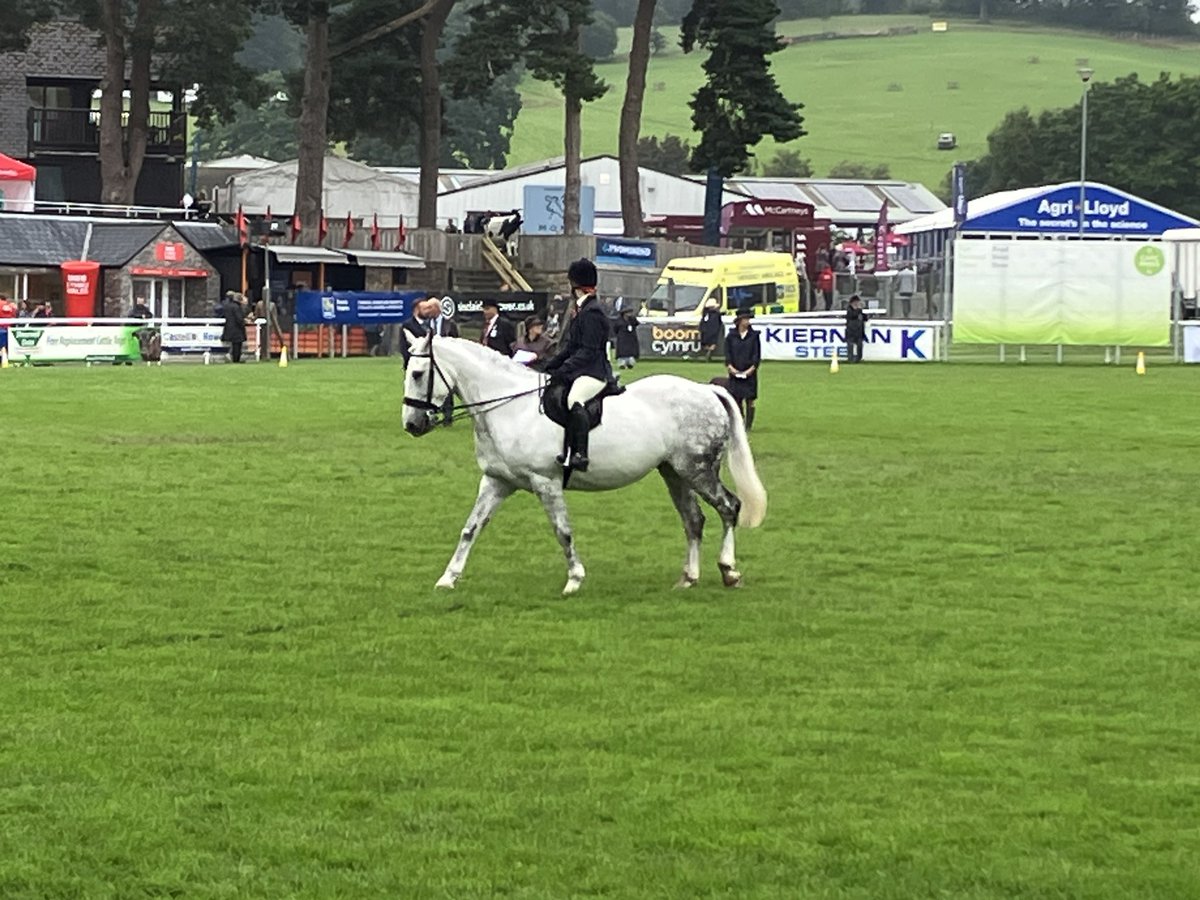 First day of the <a href="/royalwelshshow/">Royal Welsh Agricultural Society</a> and I can indulge a bit of my passion!