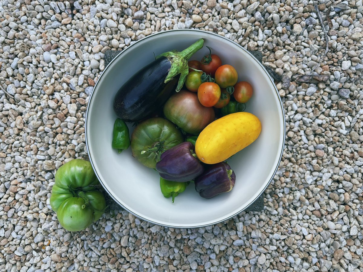 ❌ Poor street design, first day of school (for some students), and bird alternatives - mailchi.mp/gmrva/good-mor…