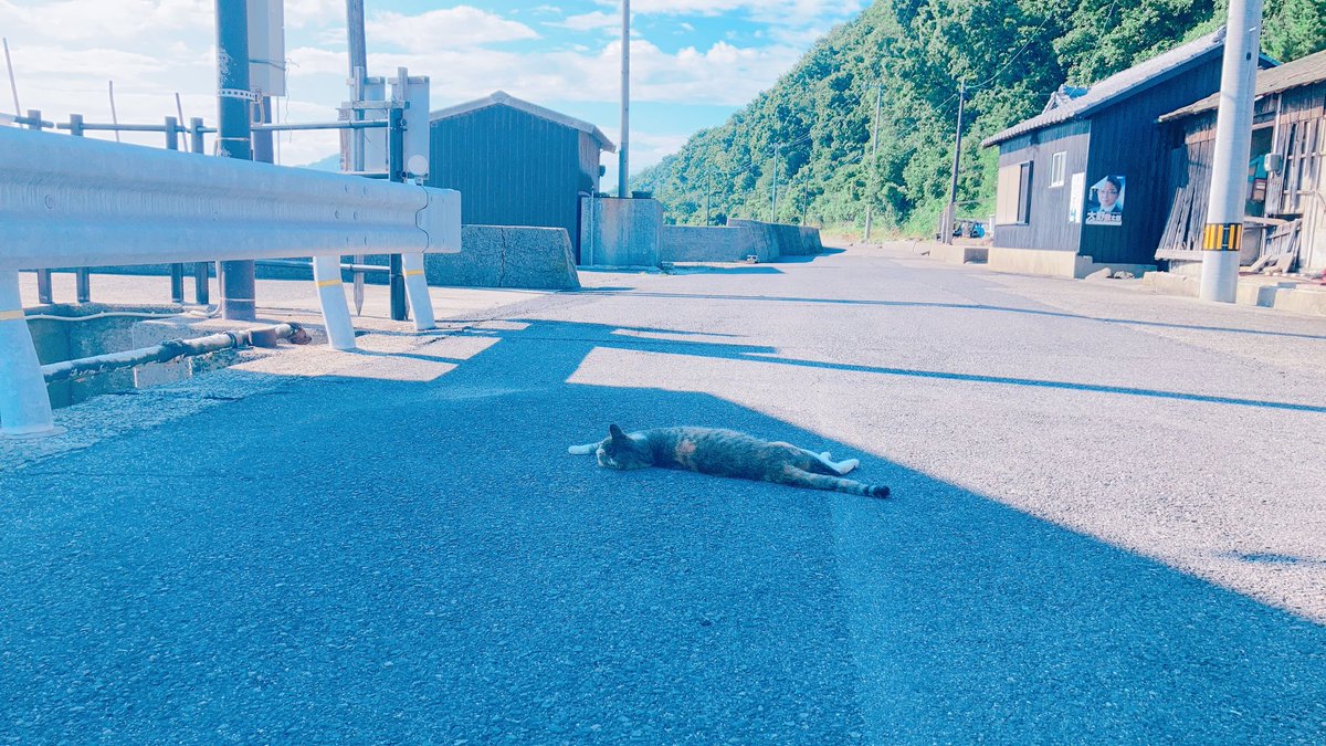 「ボクの夏休み、嫁ときどき猫  とても暑かったです 島の皆さん猫さん優しかったです」|兼業のイラスト