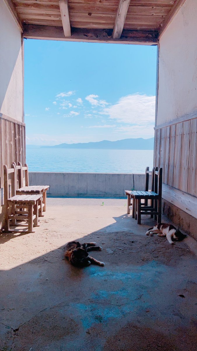 「ボクの夏休み、嫁ときどき猫  とても暑かったです 島の皆さん猫さん優しかったです」|兼業のイラスト