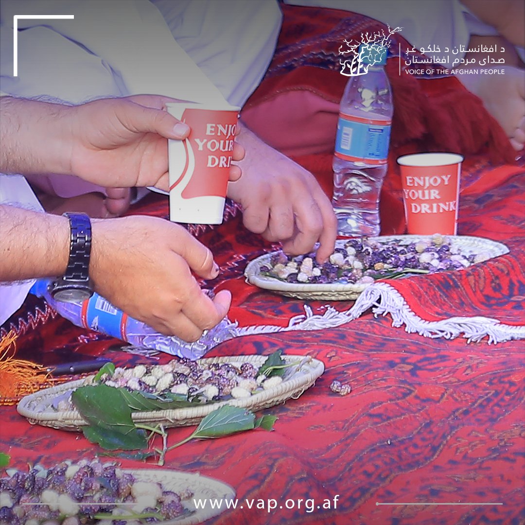 vap_afg's tweet image. On 20 July 2023, Voice of the Afghan People, in collaboration with the Ministry of Information &amp;amp; Culture, organized the 10th Panjshir Mulberry Cultural Festival in Panjshir province. Over 1300 people, including cultural and civil activists, poets, and high-ranking local and…