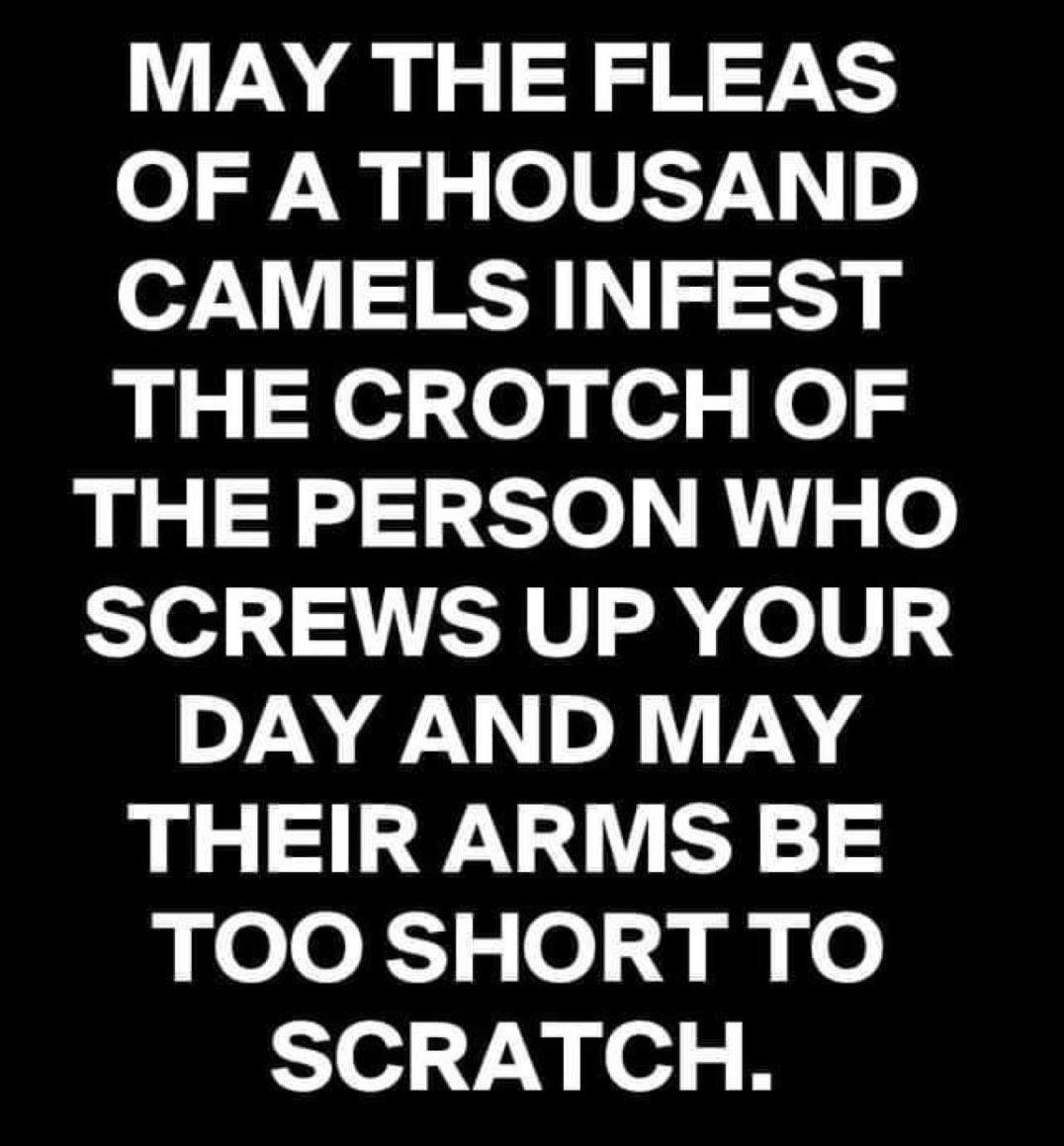 DDSHA68(Pamela) tweet media