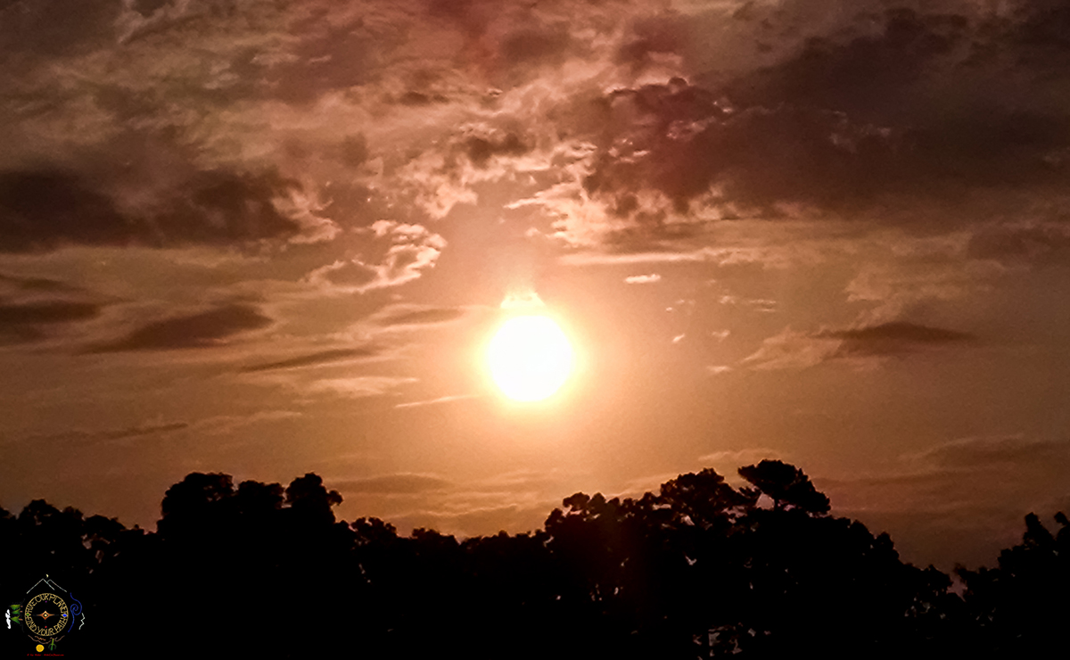 LeeHiller's tweet photo. "A beautiful adventure awaits us at the rising of the sun." ~ @LeeHillerLondon #quotes 

#sunrise #HikeOurPlanet #FindYourPath #hike #trails #outdoors #publiclands #hiking #trailslife #nature #photography #naturelovers #adventure https://t.co/Ixrq2U2A1o