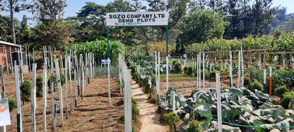 Patrick Karangwa, PhD tweet media